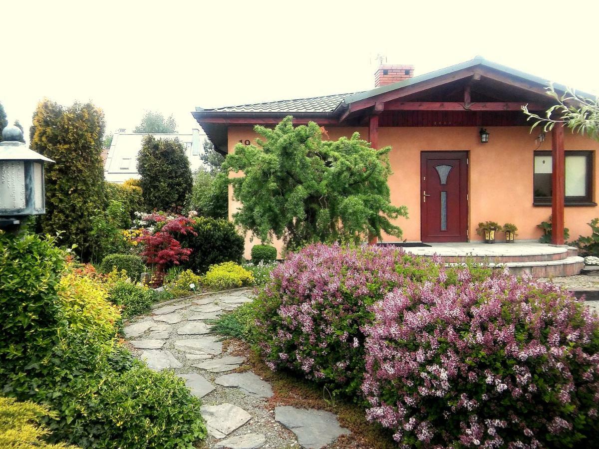 Dom Noclegowy Orient Homestay Goluchow
