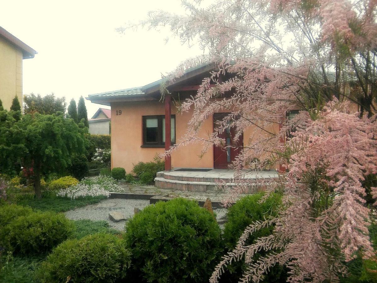 Homestay Dom Noclegowy Orient Goluchow