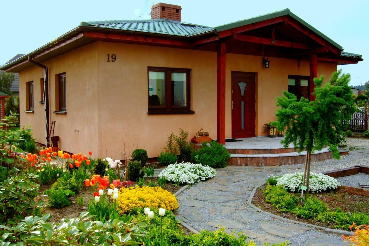 Dom Noclegowy Orient Homestay Goluchow