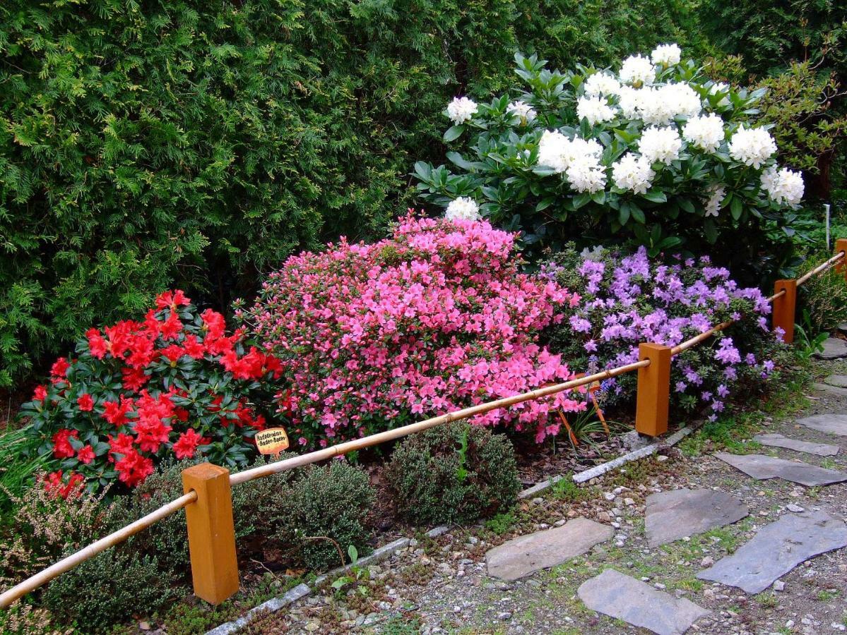 Homestay Dom Noclegowy Orient